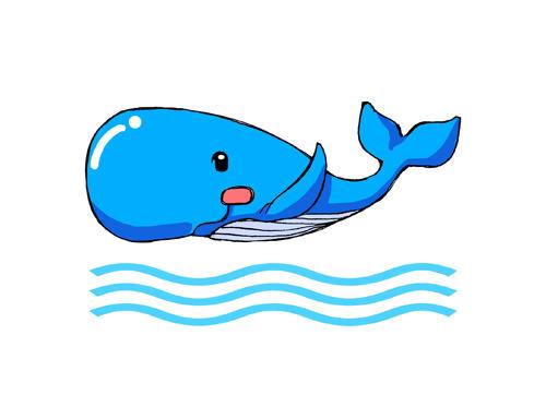 可爱的蓝鲸